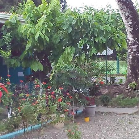 Cabinas Surf Side Cahuita Εξωτερικό φωτογραφία
