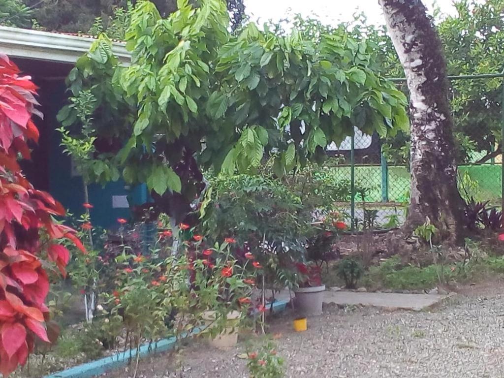 Cabinas Surf Side Cahuita Εξωτερικό φωτογραφία