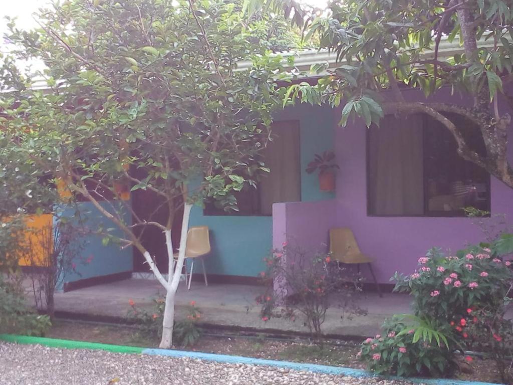 Cabinas Surf Side Cahuita Εξωτερικό φωτογραφία