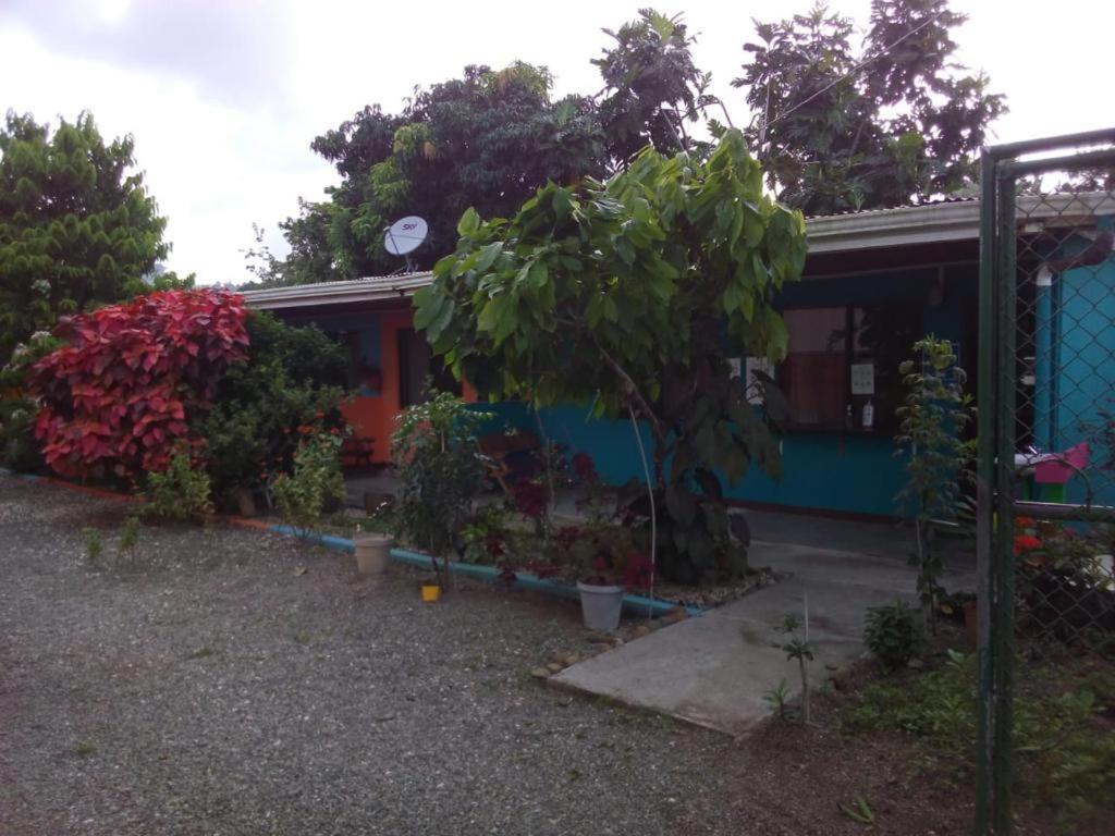 Cabinas Surf Side Cahuita Εξωτερικό φωτογραφία
